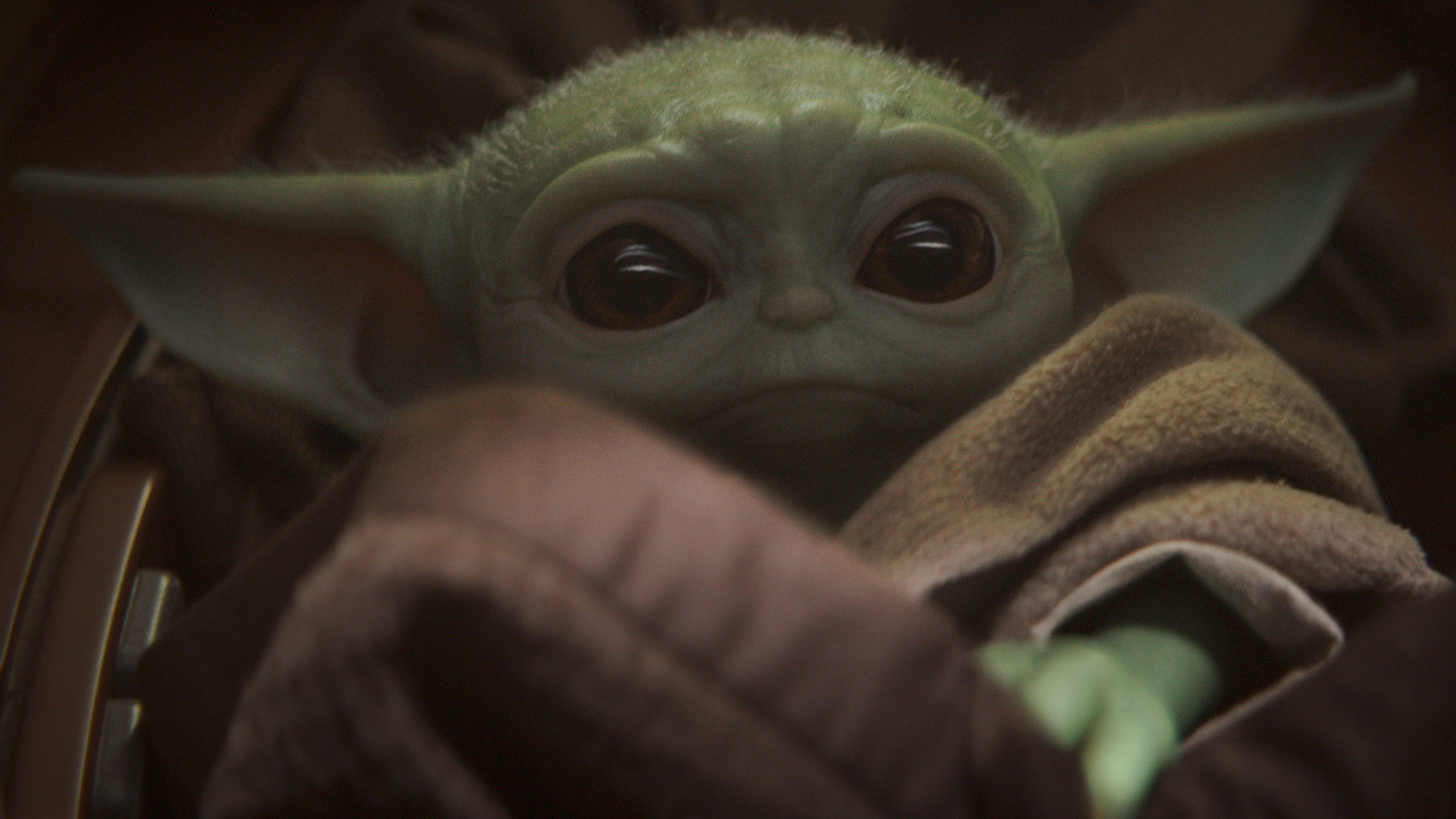 When Will Baby Yoda Grow Up