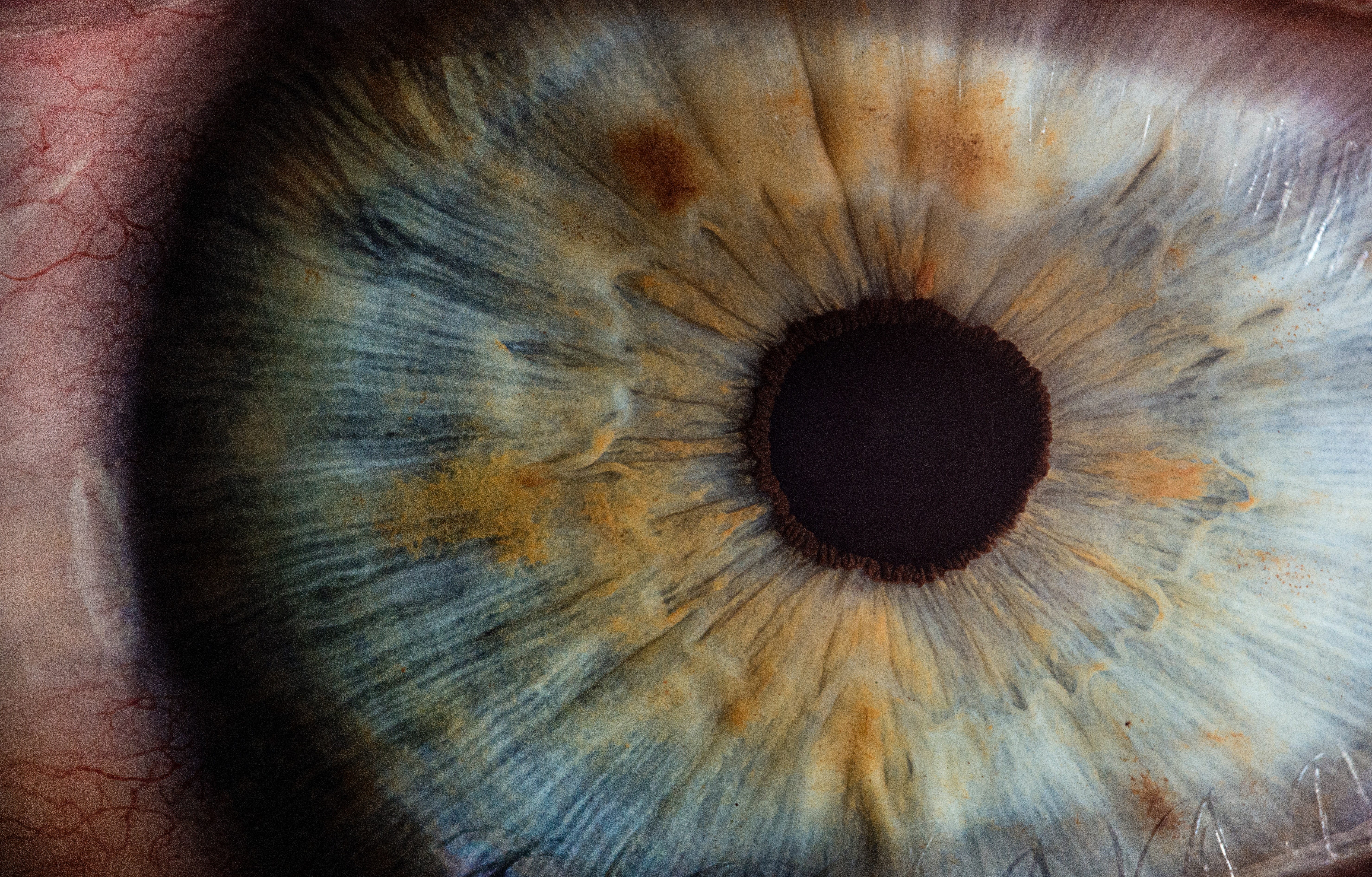 Close up image of an eye