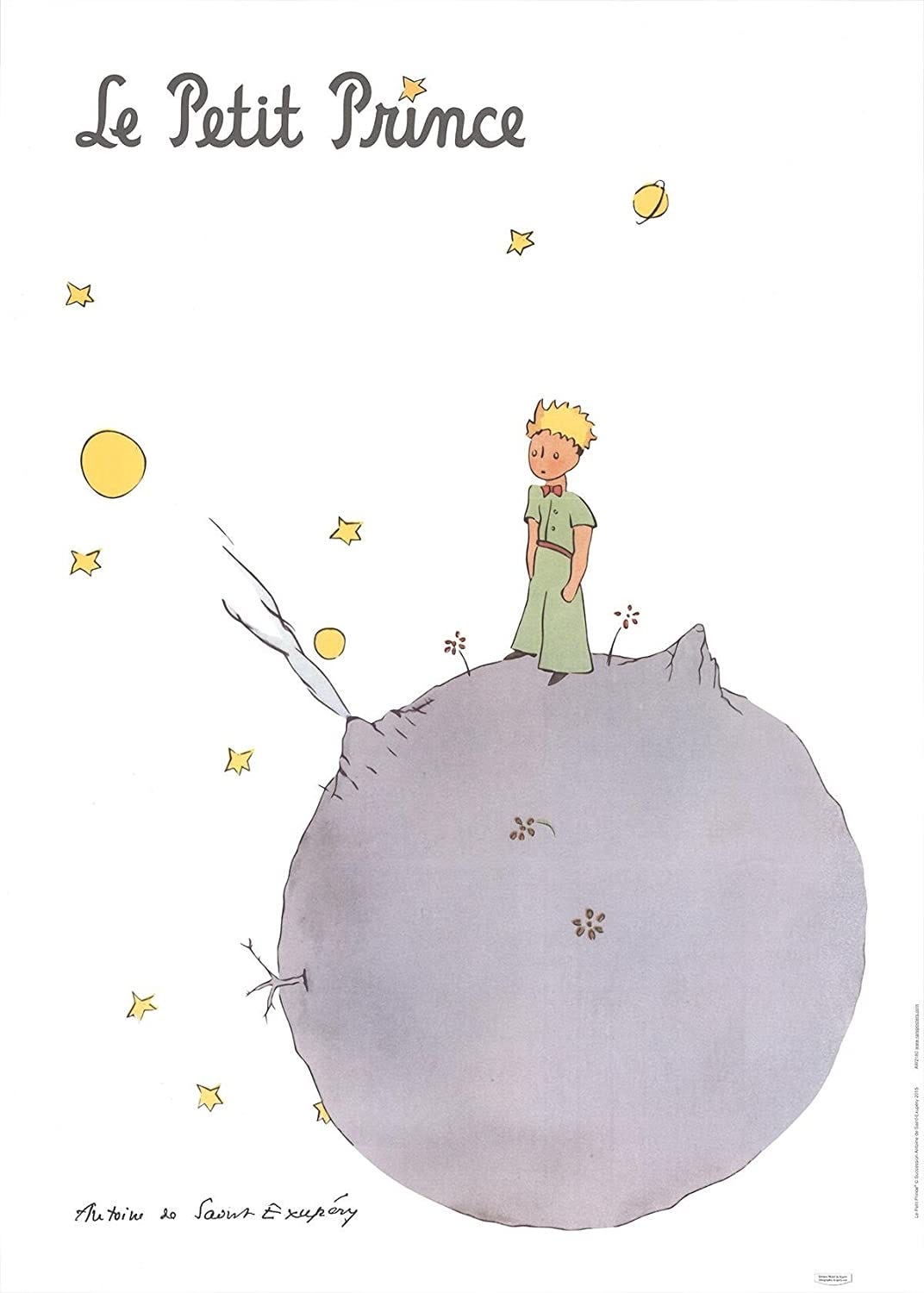Semyon Der Arguchintsev The Little Prince