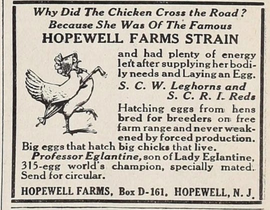 Why Did the Chicken Cross the Road? - Cackle Hatchery