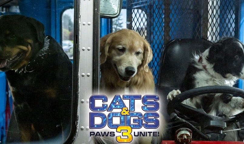 cats and dogs 123movies