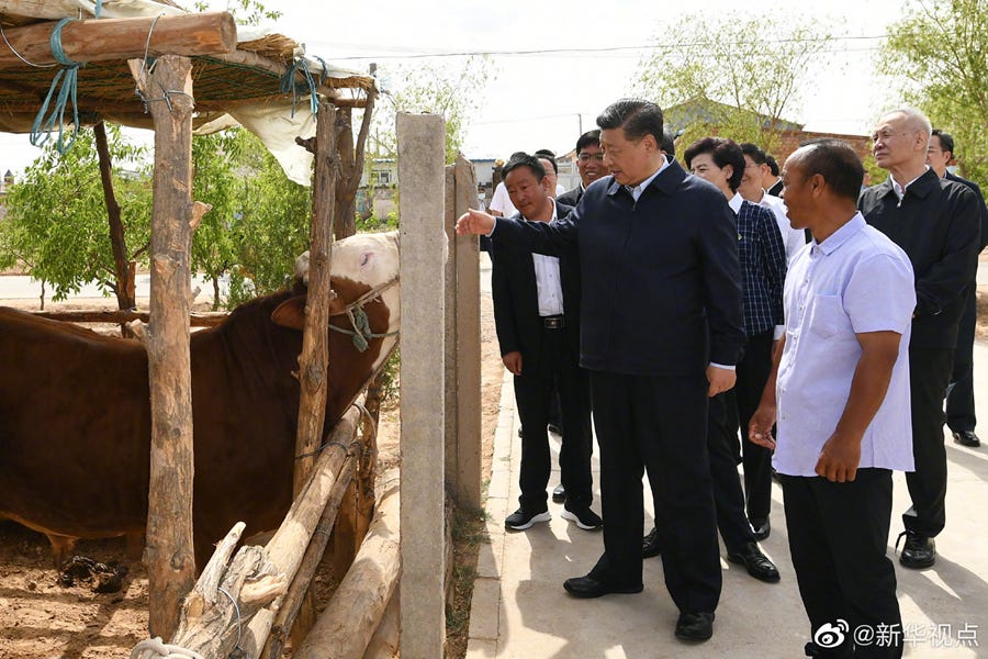 Xi S Ningxia Inspection Tour Arm China Mess Telling The Covid 19 Story