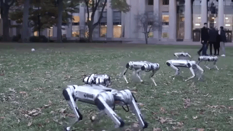 We'd be a bit nervous if we saw this in the park (MIT)