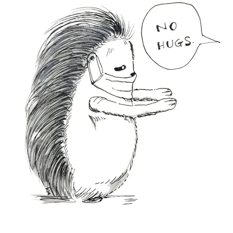 ink and pencil drawing of porcupine wearing a mask, holding up both of its hand, reaching out for a hug. but the other party said, no hugs. Because of the COVID19 virus. Porcupine has a sad, droopy eye. 