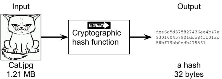 Image result for hash value bitcoin
