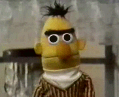 gif of Bert from Sesame Street. He is staring into the camera intensely. It then zooms in really fast to just show his eyes.