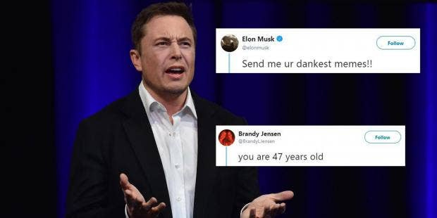 Elon Musk asked Twitter to send him their 'dankest memes ...