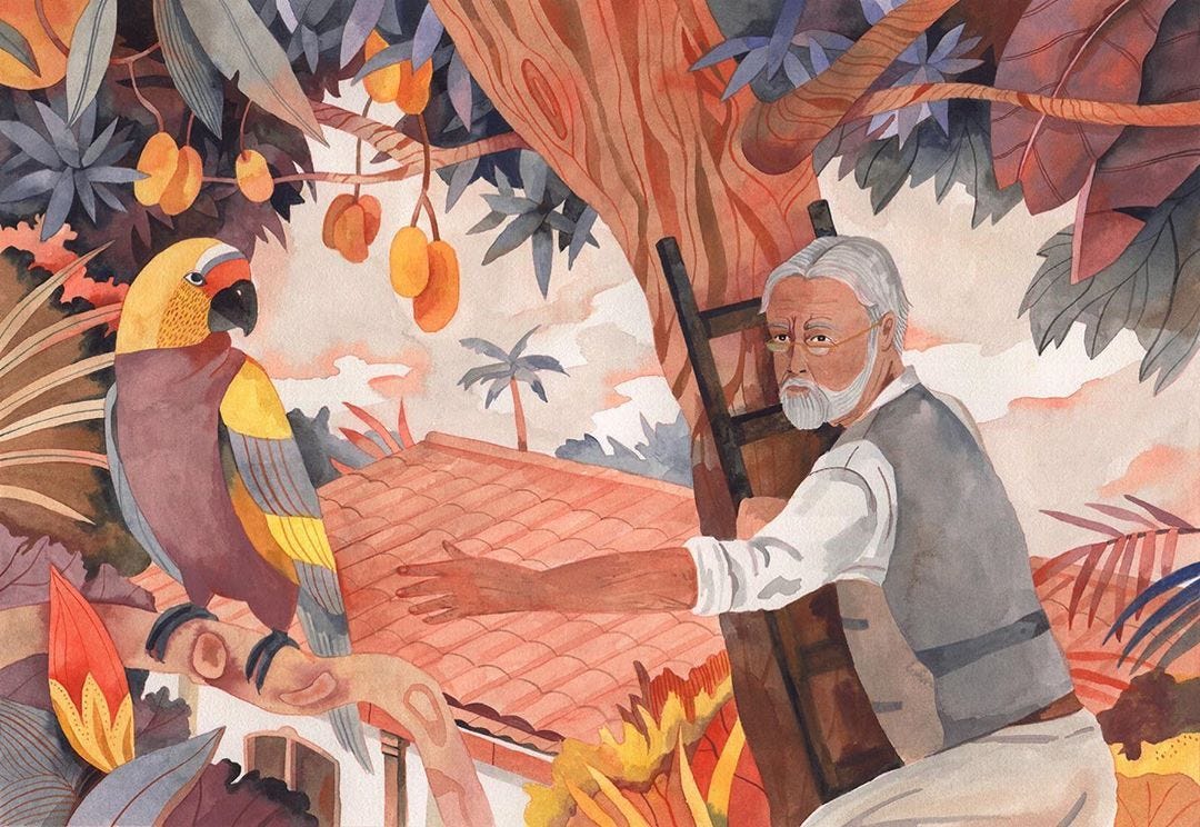 Ilustração em aquarela de um senhor de barba branca subindo uma escada apoiada numa árvore, estendendo a mão para alcançar um periquito colorido, amarelo e vermelho, com peito arroxeado, pousado no galho de uma árvore. Ilustração em aquarela de um senhor de barba branca subindo uma escada apoiada numa árvore, estendendo a mão para alcançar um periquito colorido, amarelo e vermelho, com peito arroxeado, pousado no galho de uma árvore.