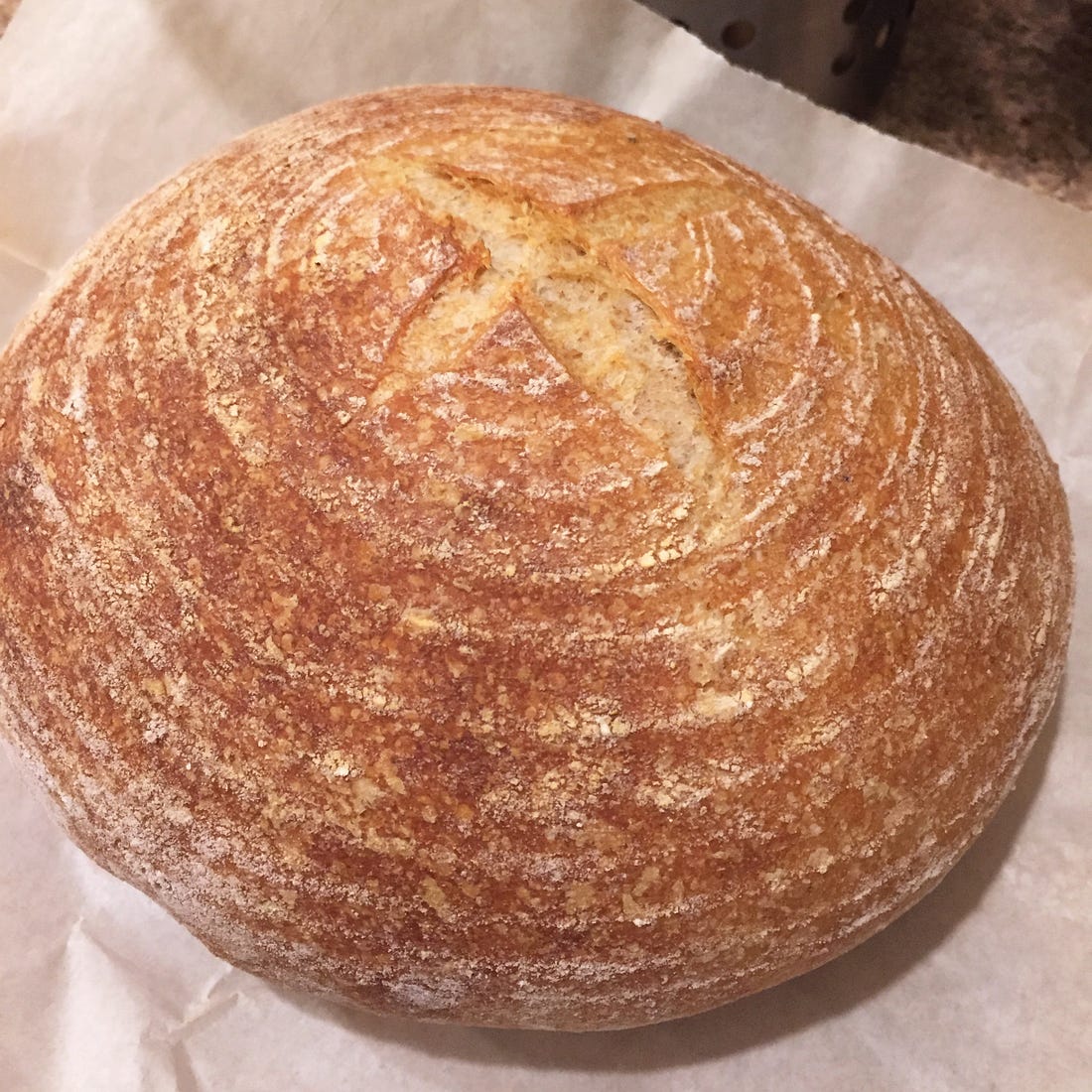 A loaf of whole wheat sourdough, with an X sliced into the top. Concentric circles of flour are visible across the top.
