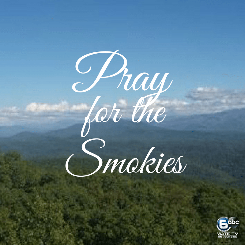 Help Families Affected by the Smoky Mountain Wildfires