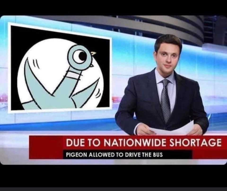 photo of a news anchor and text, “due to nationwide shortage, pigeon allowed to drive the bus”