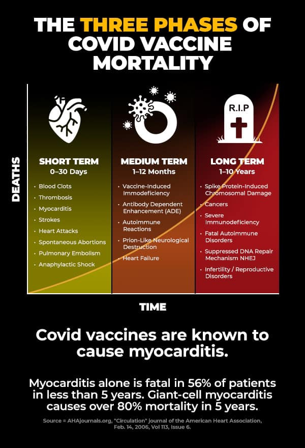 The Thress Phases of Covid Vaccine Mortality