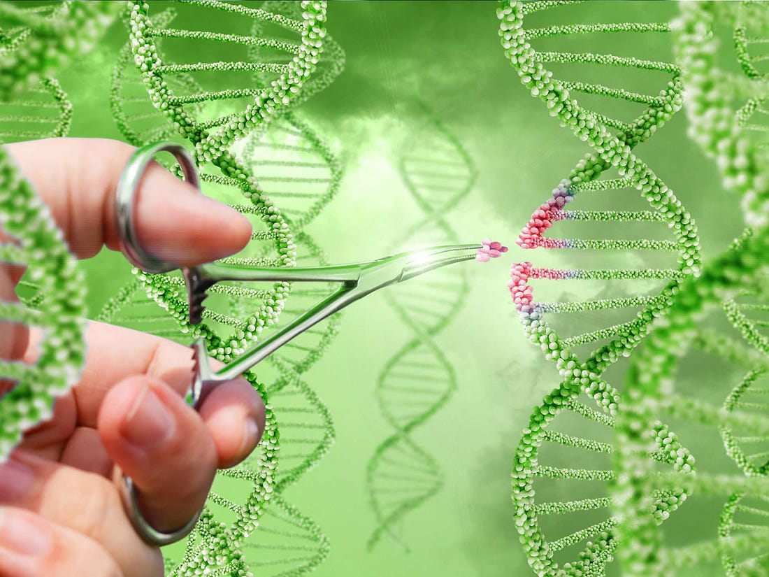 Qué es la tecnología CRISPR? - Bayer