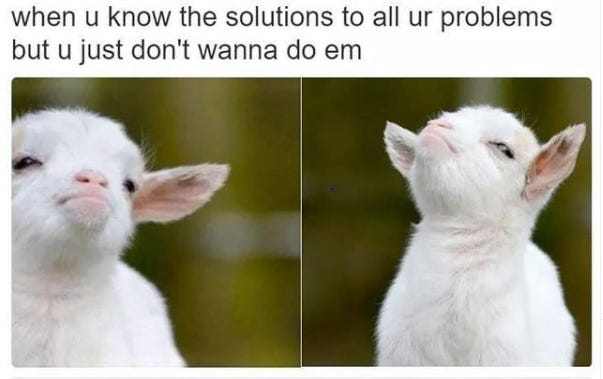 Two images of a white baby goat looking indignant. Above the images is text that reads, “When you know the solutions to all your problems but you just don’t want to do them.”