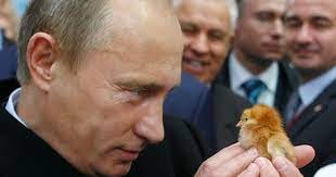 President, animal lover, professional wild man: Russia's Vladimir Putin  never fails to put-on a show - CBS News