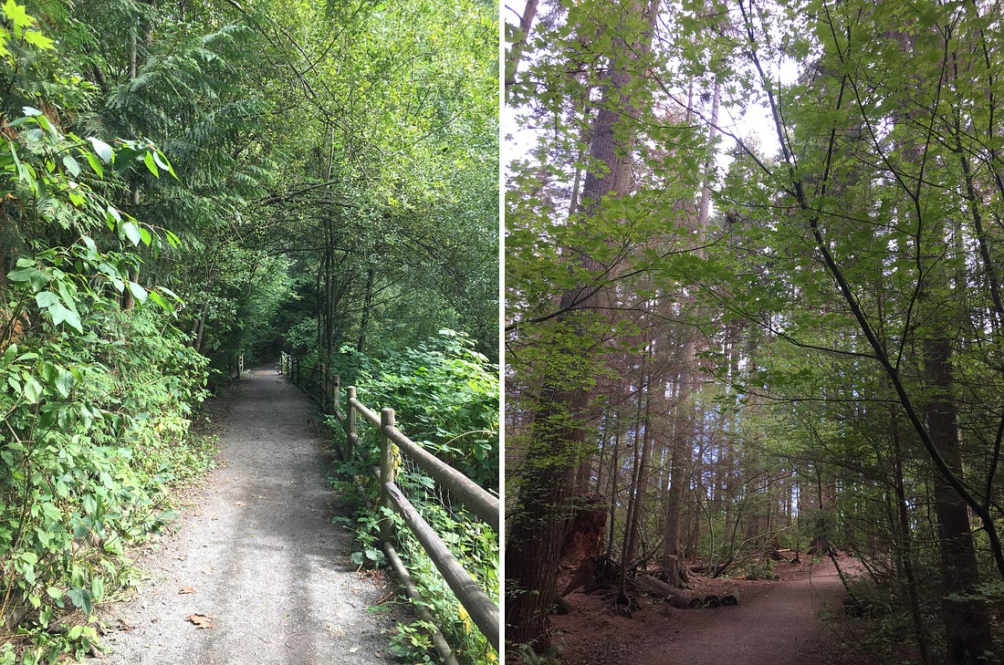 left image: a gravel path into a forest with trees on the left, and a wooden fence on the right. Right image: a dirt path across the forest floor with maple leaves in the foreground, and tall, thin cedars in the background. 