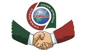 China-Africa cooperation should be carried out under 'dual circulation' -  Global Times