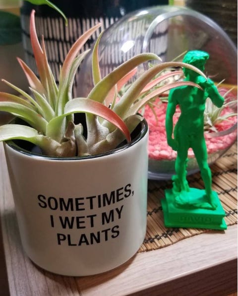 small mint green ceramic planter that says "sometimes I wet my plants." It has two air plants with bright red tips in it. There is also a tiny bright green statue of Michelangelo's David.
