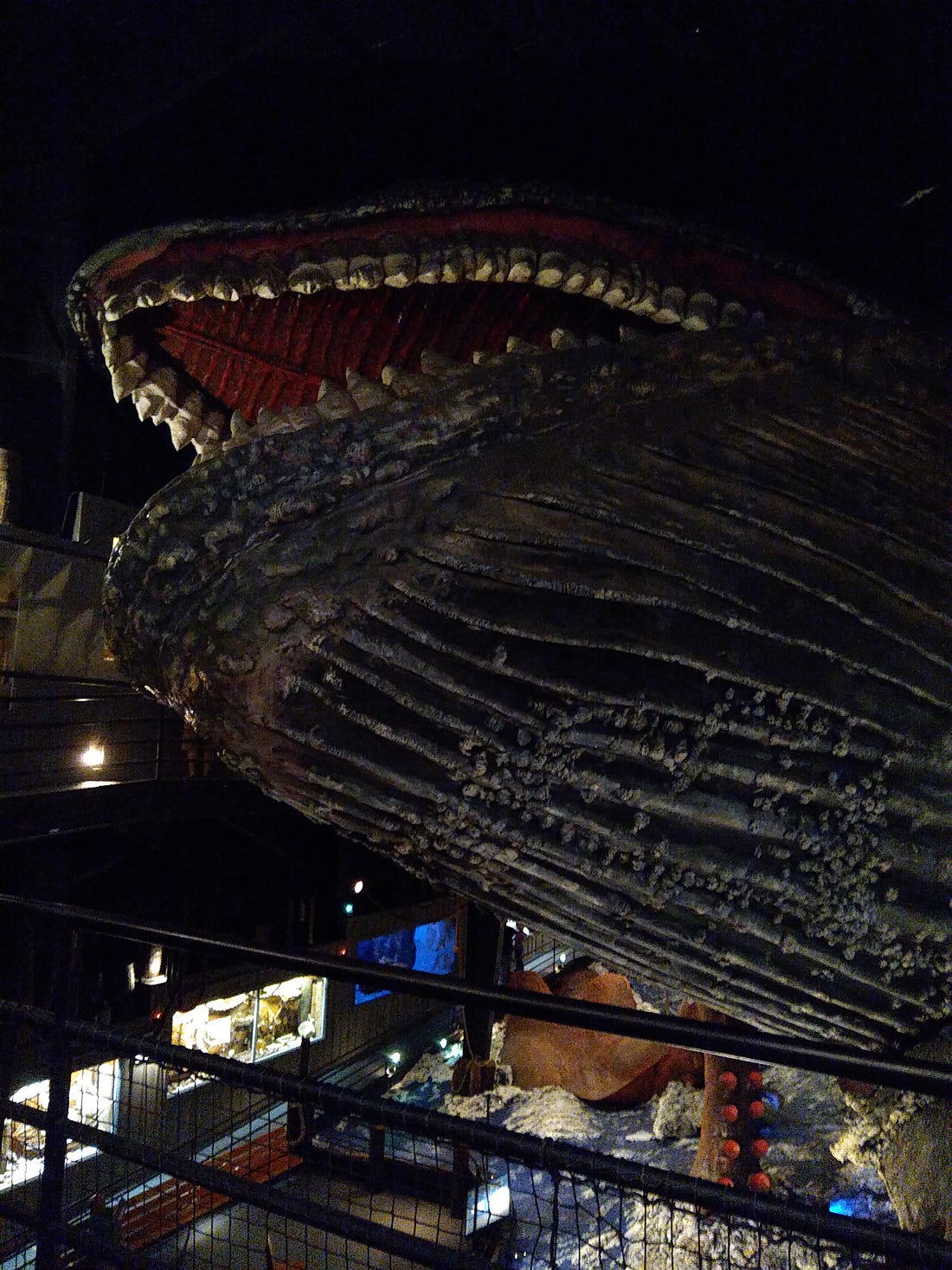 Massive model of whale view of open mouth