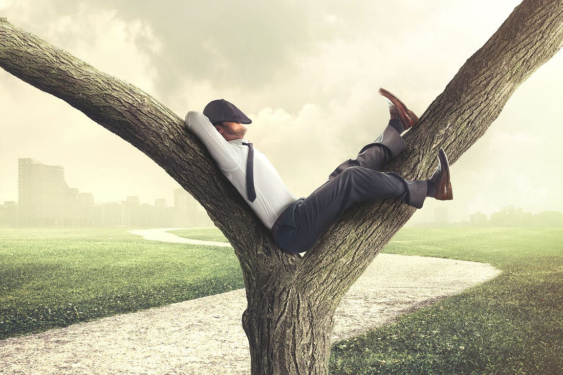 A Very Boring Story About What Could Have Been; Man Relaxing in Tree