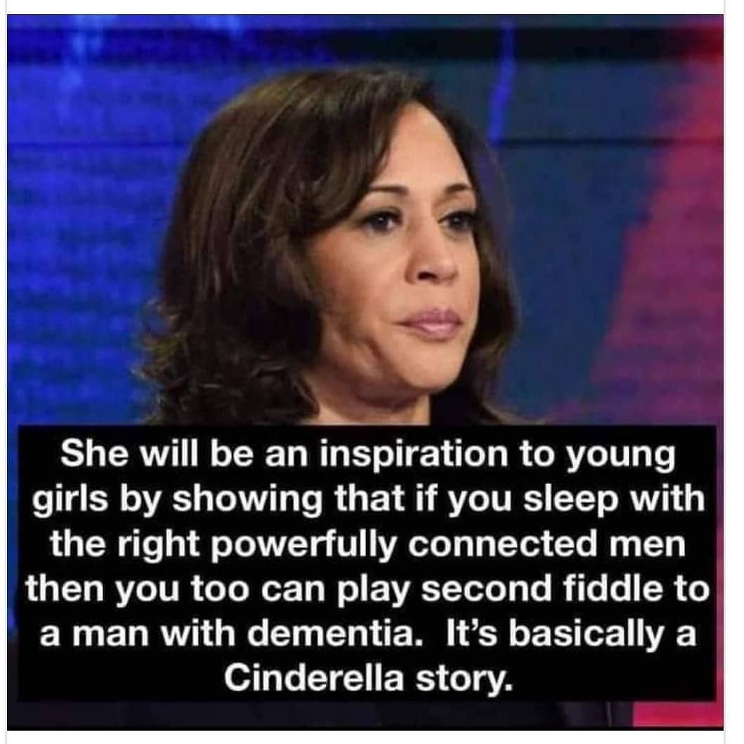 Image may contain: 1 person, text that says 'She will be an inspiration to young girls by showing that if you sleep with the right powerfully connected men then you too can play second fiddle to a man with dementia. It's basically a Cinderella story.'