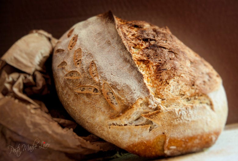 Pane con Farina di grano duro Saragolla – L&#39;alternativa italiana al marchio  ©Kamut | Pasta Madre Lover