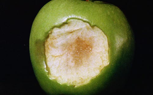 imagem da mesma maçã mordida com a polpa escurecendo