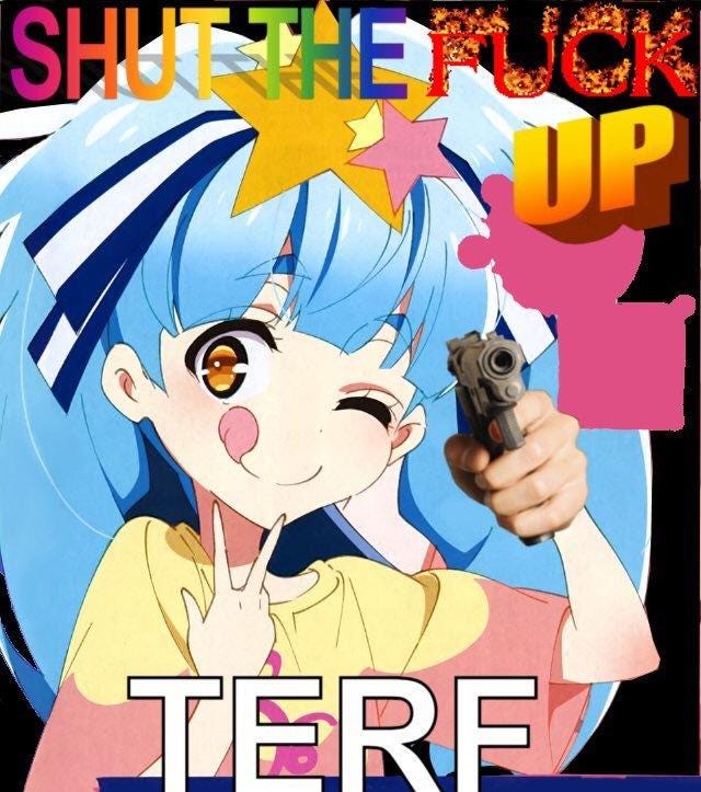 Shut the fuck up TERF | SonicFox | Know Your Meme