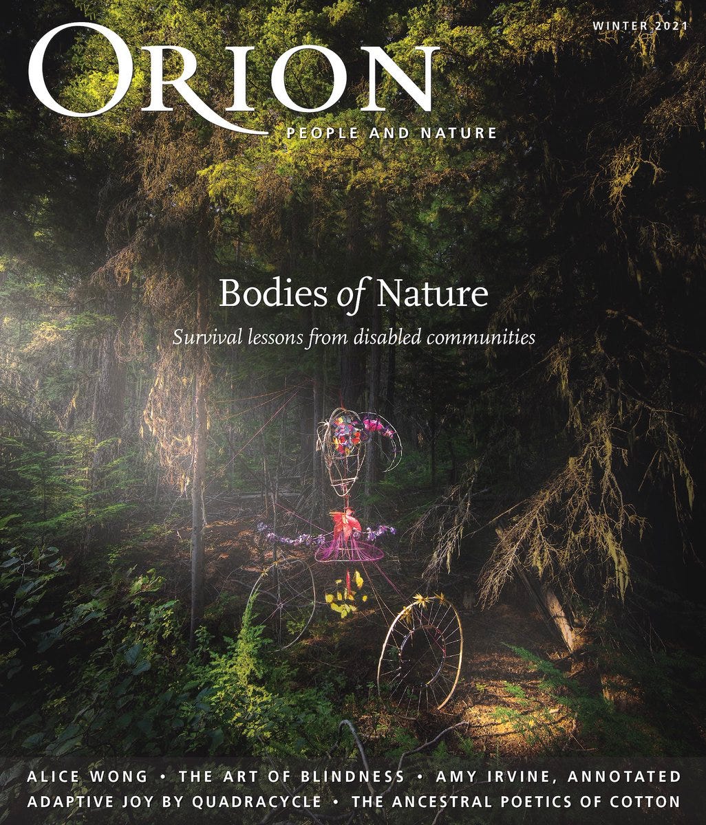 A beam of illuminated light streams into thick woods. In the center of the light stands a tall puppet figure, made out of wood, with two large wheels and bursts of bright colors in areas of the body. The figure has a spiked horn growing out of her head. The cover says Orion Magazine people and nature winter 2021. In the center in white font it says: Bodies of Nature, survival lessons from disabled communities. At the bottom are feature titles in white font: Alice Won, The Art of Blindness, Amy Irvine, Annotated, Adaptive Joy by Quadracycle, and The Ancestral Poetics of Cotton.