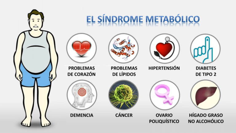 Síndrome metabólico: un problema de salud que no da la cara | Periodistas  en Español