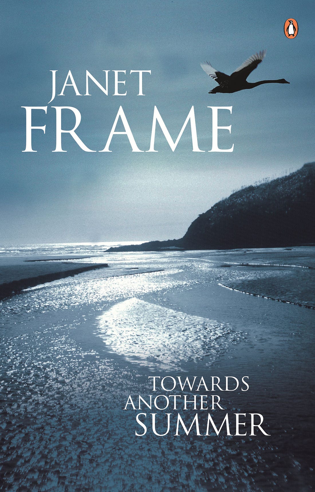Towards Another Summer (by Janet Frame) Book Cover