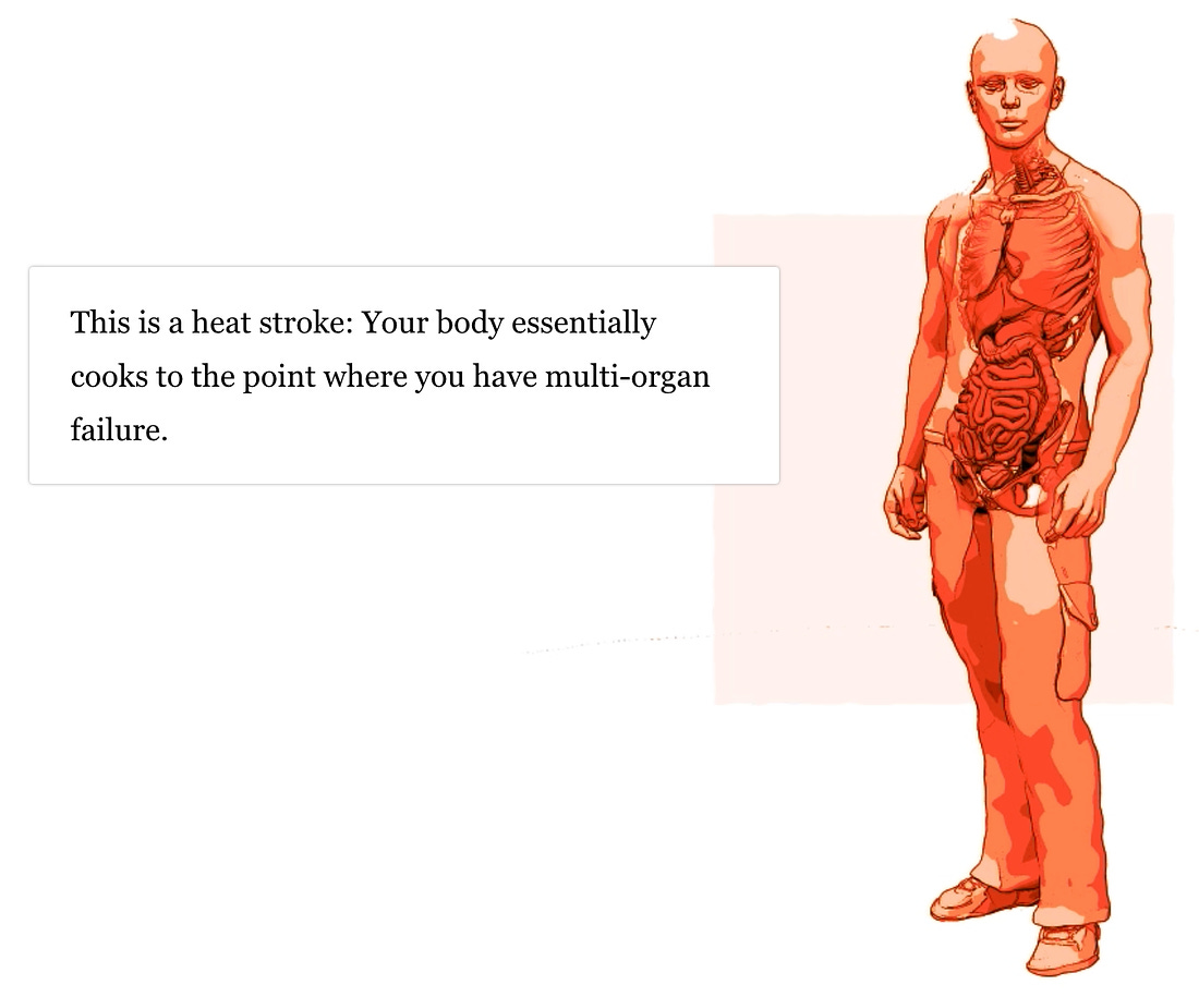 Graphic of a cutaway person showing the organs, all bathed in a hot red wash. A text block reads: This is a heat stroke: Your body essentially cooks to the point where you have multi-organ failure.