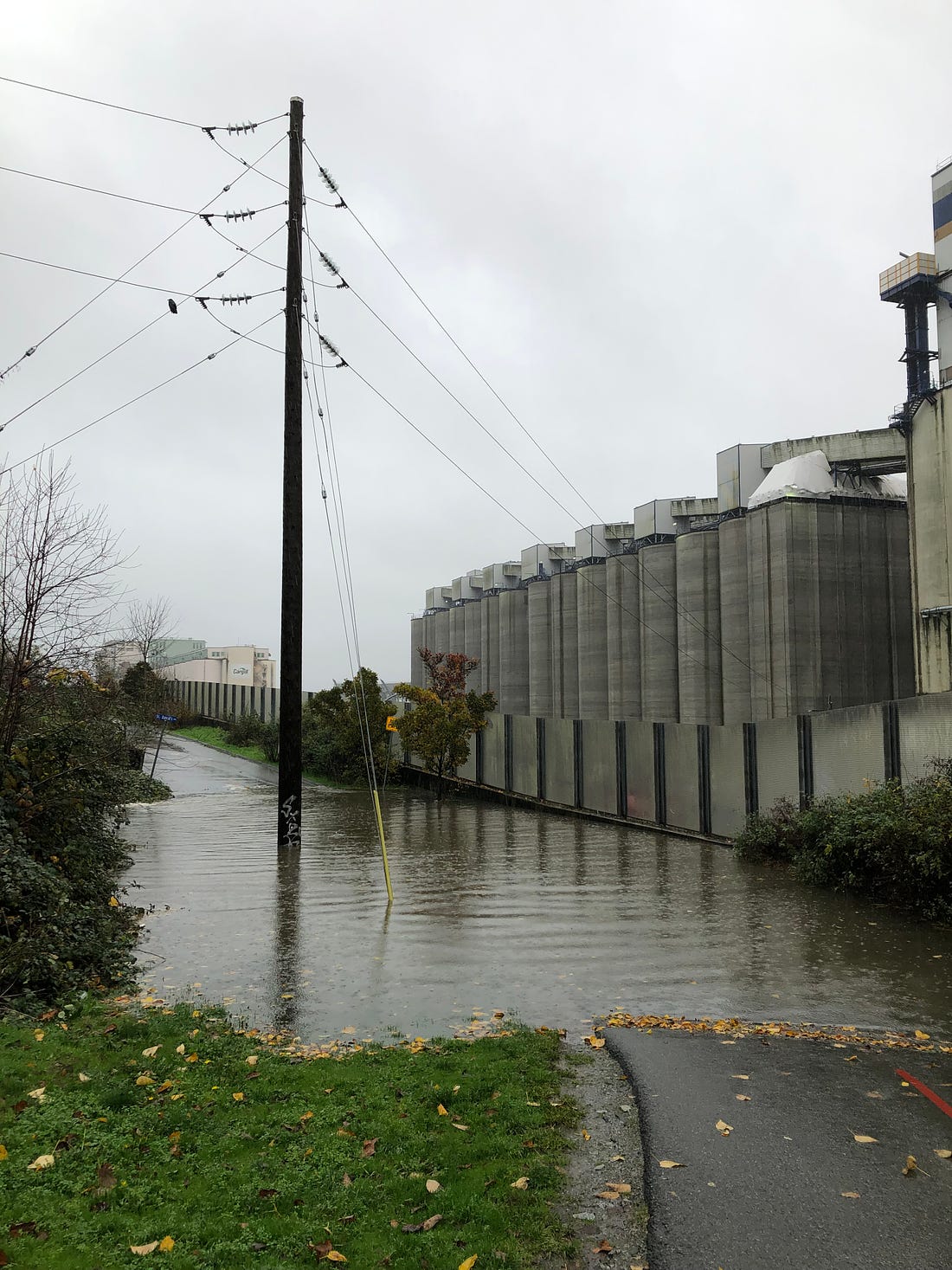 a one-lane road is visible in the foreground and background with a huge pool of floodwater in the middle. A power pole juts out at one edge, and the grain silos are visible in the right hand side of the photo.