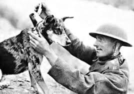 The Dogs of War - A Short History of Canines in Combat -  MilitaryHistoryNow.com