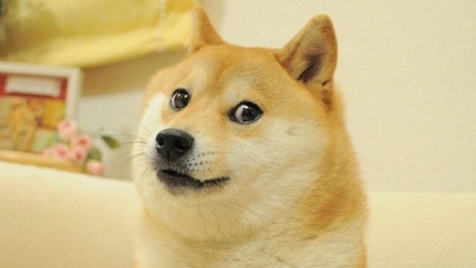 Doge | Know Your Meme
