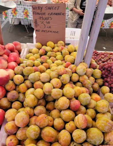 Baskets overflowing with bright yellow-green stone fruit and a cardboard sign that says "very sweet flavor granade pluots" $3.50 per pound no pesticides
