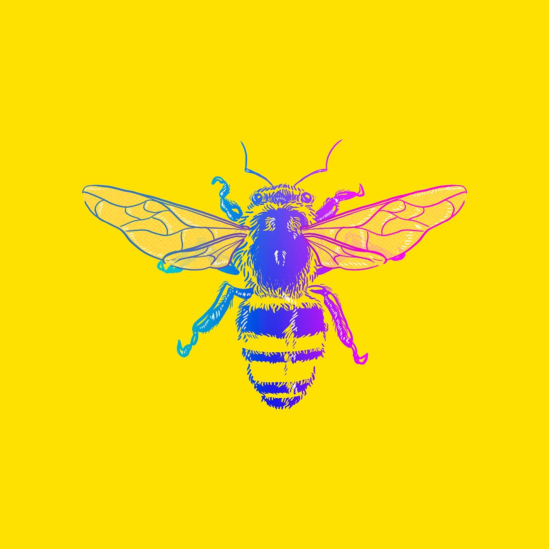 ilustração da capa do podcast: uma abelha com as cores do arco-íris pousada sobre um fundo amarelo vibrante