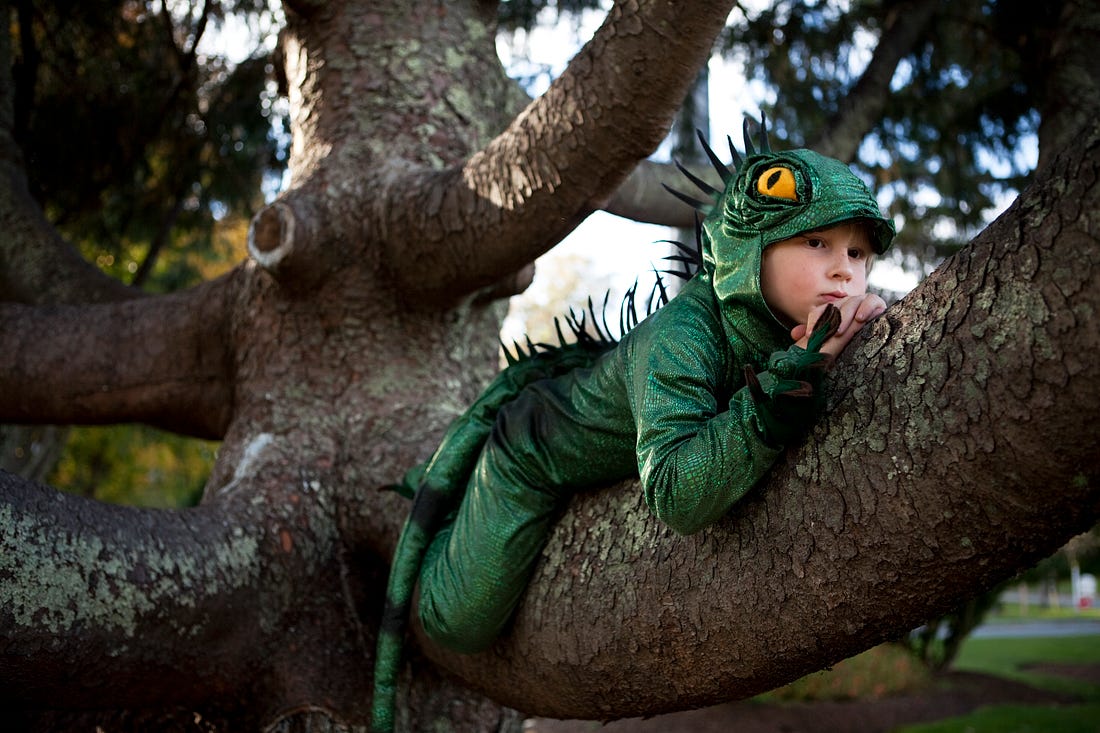 7yo old boy in a tree in Sandwich, Massachusetts. Photo by Andreas Kuehn