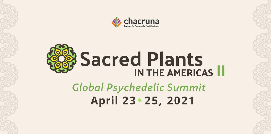Sacred Plants in the Americas II | Chacruna