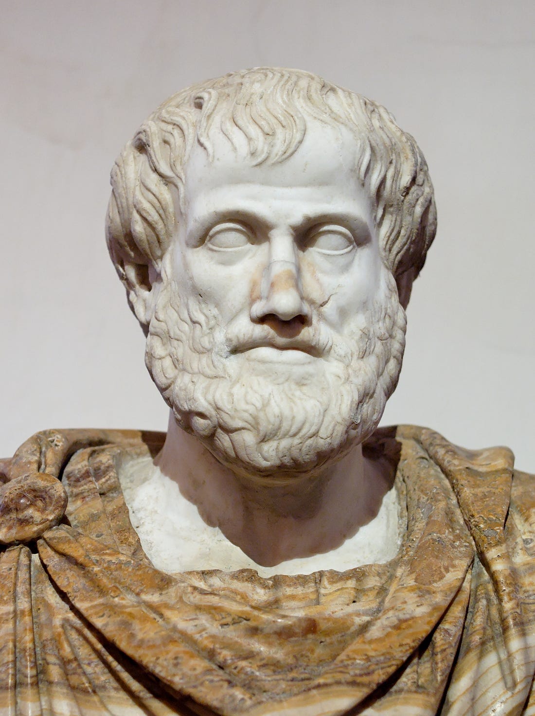 Aristotle, the Grand Shaman