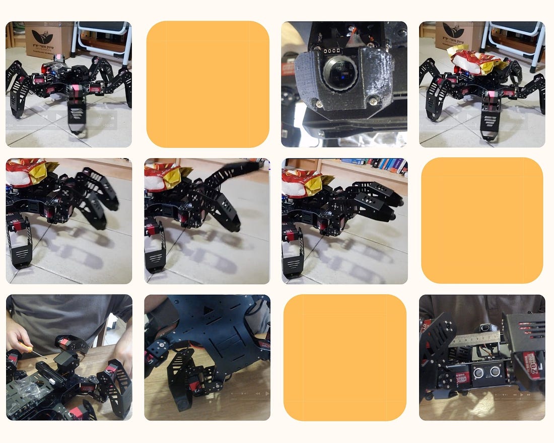 Yak Rover example images