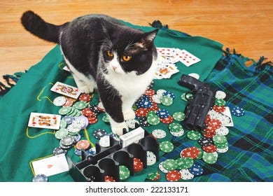 Cat Gambling Images, Stock Photos &amp; Vectors | Shutterstock