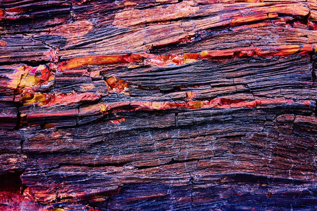 close-up petrified wood by Andy Batt