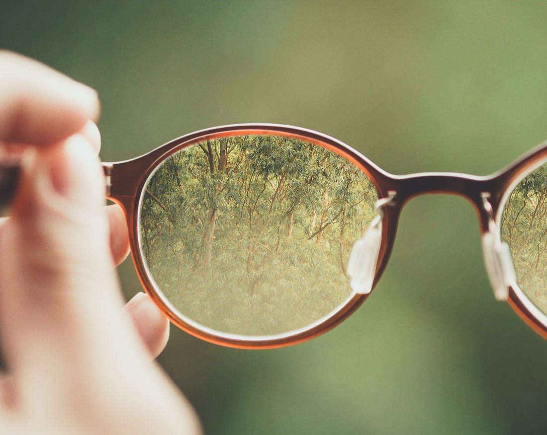 Photo of trees visible through a pair of glasses. Bud Helisson / Unsplash