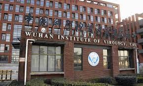 Wuhan Institute of Virology listed as candidate for Outstanding Science and  Technology Achievement Prize of CAS - Global Times