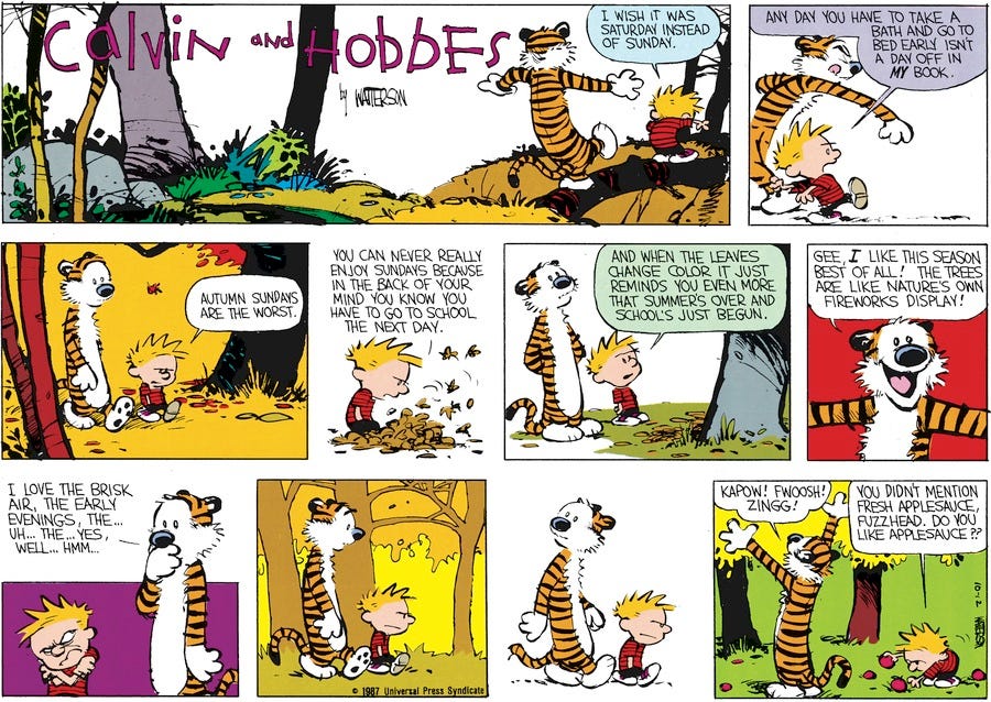 Happy first day of fall!!: calvinandhobbes