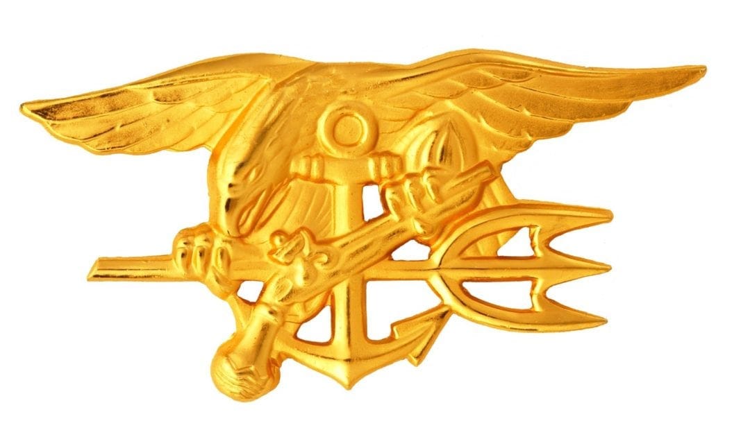 https://upload.wikimedia.org/wikipedia/commons/2/2b/US_Navy_050713-N-0000X-001_Navy_Special_Warfare_Trident_insignia_worn_by_qualified_U.S._Navy_SEALs.jpg