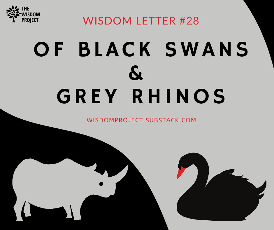 Addition chikane diskriminerende Of Black Swans and Grey Rhinos - The Wisdom Project