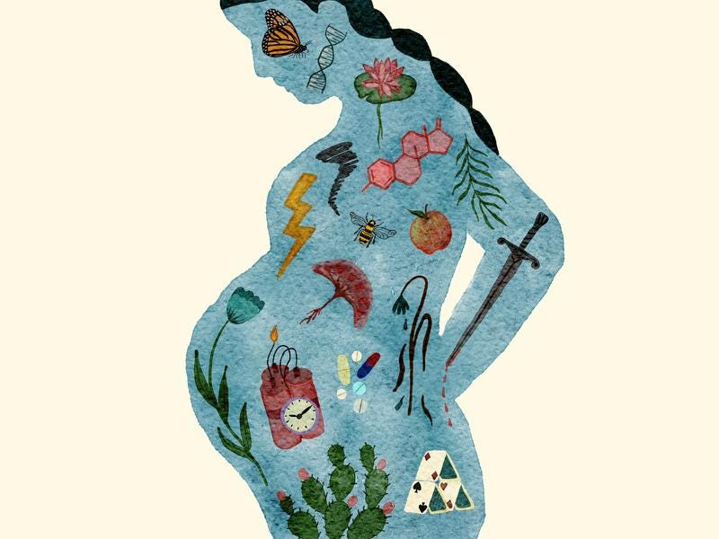 illustratie van een zwanger persoon in het blauw met allemaal getekende dingen als appels, bijtjes, tijdbommen, dna, vlinders in diens lichaam getekend