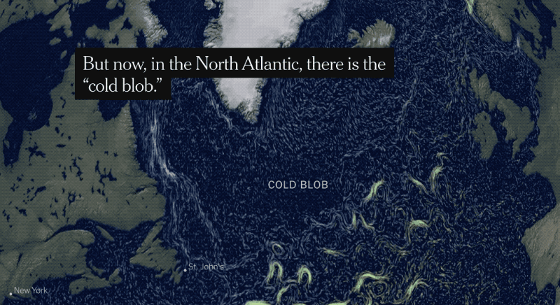 Animation of ocean currents from the NYT with the caption "But now, in the North Atlantic, there is a cold blob."
